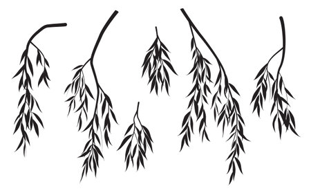 Set of black silhouettes of tree branches with leaves isolated on white. Vector monochrome foliage weeping willow tree. Deciduous plant element.のイラスト素材