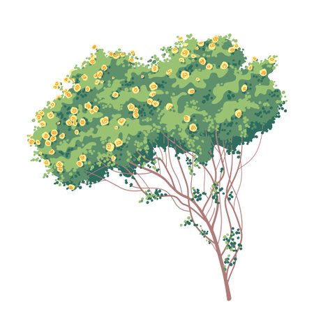 Big old bush with yellow roses and green leaves isolated on white background. Climber garden plant with flowers. Decorative blooming shrub rose simple vector illustration.のイラスト素材