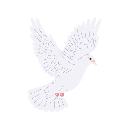 Flying white pigeon in flat style isolated on blank background. Dove bird in flight. Simple vector illustration.のイラスト素材