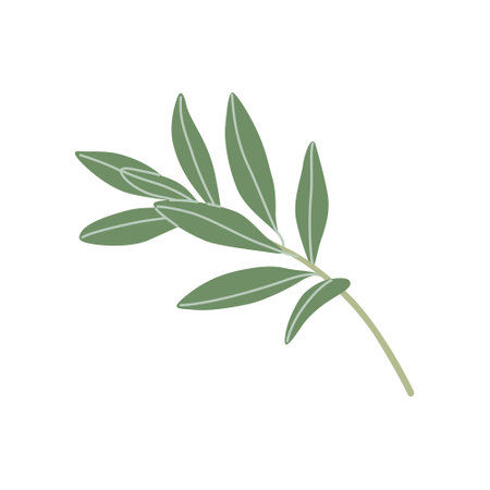 Simple olive branch with green leaves isolated on white background. Mediterranean tree sprig without olives. Vector illustration in flat style.のイラスト素材
