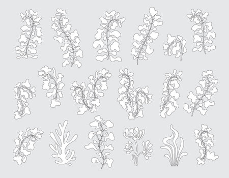 Decorative botanical elements. Organic abstract shapes in black and white color isolated on gray background. Floral wavy design set. Monochrome vector Illustration.のイラスト素材