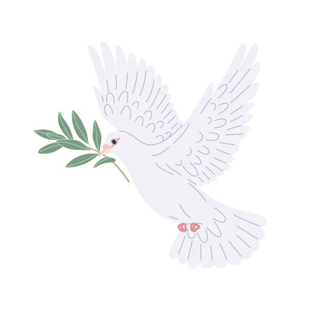 Flying white pigeon isolated on blank background. Simple dove bird carries an olive branch in beak. Vector cartoon illustration.のイラスト素材