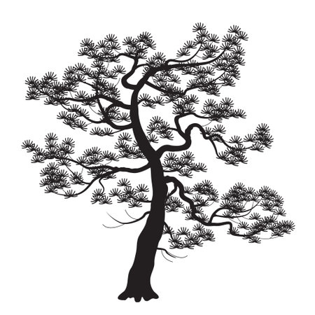 Black silhouette of old Japanese pine tree isolated on white background. Monochrome coniferous plant simple vector illustration. landscape element design.のイラスト素材