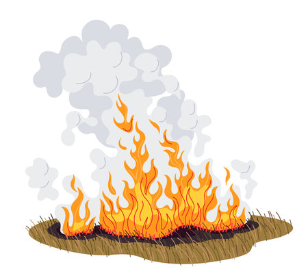 Field with burning dry grass. Wild fire in nature. Smoke in the air. Dried grass in flame. Natural disaster and wildfire concept. Simple vector flat illustration.のイラスト素材