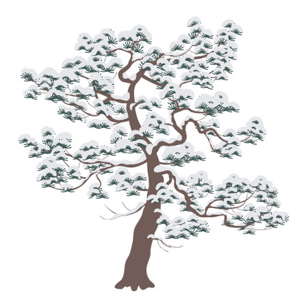 Snow covered old Pine tree isolated on white background. Winter coniferous plant template. Snowy and frozen conifers during cold season. Simple vector flat illustration. Landscape element design.のイラスト素材
