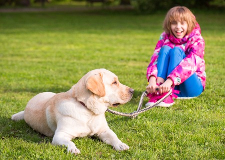Little girl with labrador retriever on walk in park. Child sitting on green grass with dog - outdoor in nature portrait. Pet, domestic animal and people concept.の写真素材