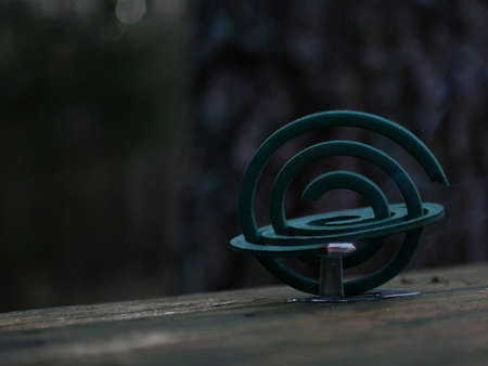 Burning of the mosquito coil in nature, close up. Mosquito-repelling incenseの写真素材