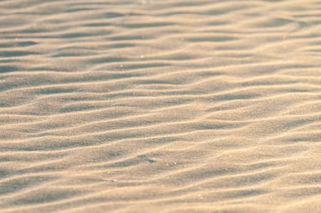 Texture of dry fine sand rippled by wavesの写真素材