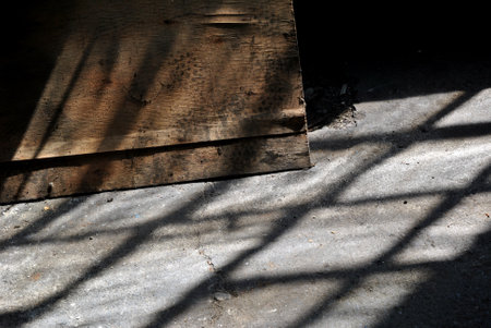 shadow on the old wood floor and shadow from the sun light.の写真素材