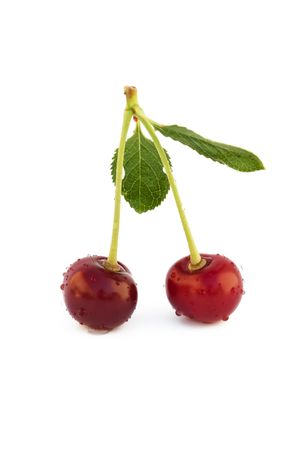 two cherries with drops of dewの写真素材