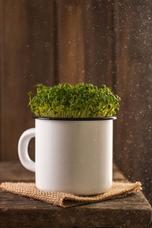 Microgreen sprouts. Fresh salad grows in a mug. Rustic style and wooden decoration. Close up and vertical orientation. の写真素材