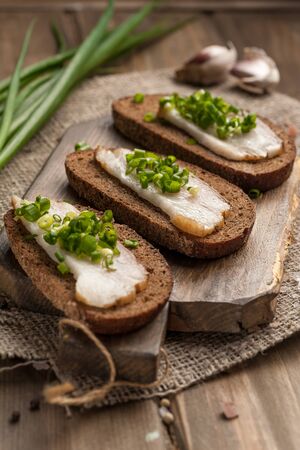 Lard and bread. Traditional Russian fatty snack with green onions and garlic. Rustic design. Ready to eat. Close up and vertical orientation. 
の写真素材