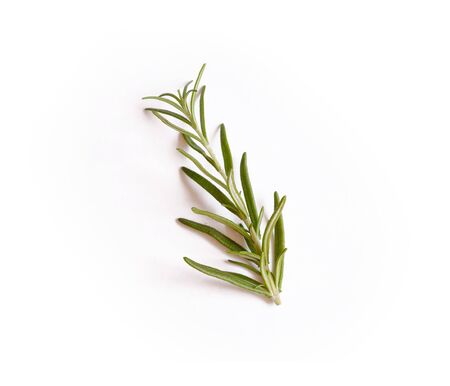 Fresh sprigs of rosemary isolated on a white backgroundの写真素材