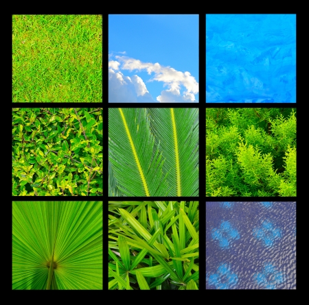 Collection of grass, leaves, sky and water texture backgroundの写真素材