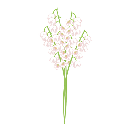 Vector clipart Flower May Lily. A hand-drawn image for insertion into a document, a website, a presentation, etc.のイラスト素材