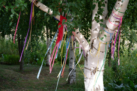 colorful ribbons hanging from birch tree in the summer gardenの写真素材