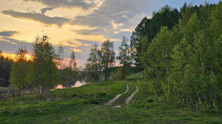 Sunset over the river in the spring forest. Landscape.の写真素材