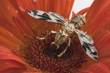 garnish. apis on flower
