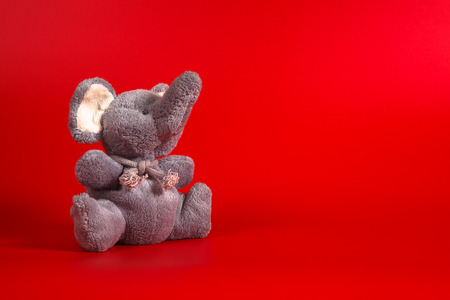 Funny cute grey gray plush elephant toy isolated on color background. Isolated, blue, red, white. Copy space for text.の写真素材