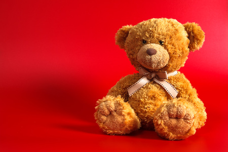 Soft warm cute brown teddy bear on color background. Isolated. Soft red background. Copy space for text.の写真素材