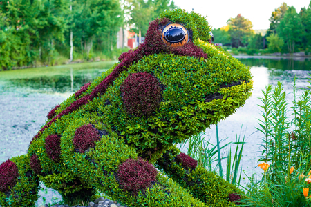 Living sculpture of a frog made with plants and flowers in front of a lakeの写真素材
