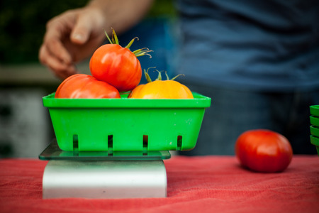 Man weighing red and yellow tomatoes on a balance, at farmer's market