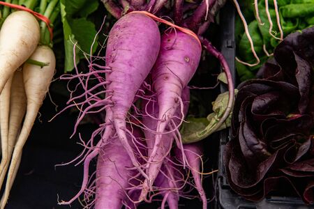 Organic produce at a farmer's market. Purple colored root vegetables are seen bunched close up,...
