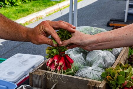 Organic produce at a farmer's market. Exchange of goods are seen as a market trader hands a bunch of...