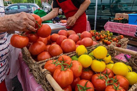 Organic produce at a farmer's market. Hands of an elderly woman are viewed up-close, picking fresh tomatoes on the vine from wicker baskets on a grocer's market stall. Fresh produce with copy space.の写真素材