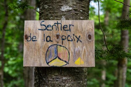 Diverse people enjoy spiritual gathering A closeup view of a small sign with French writing, saying path of peace, nailed to a tree trunk in a woodland retreat for native and multicultural experiences.の写真素材