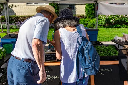 Atmosphere at outdoor farmer's market. An elderly man and woman are seen from behind as they browse fresh herbs and vegetables for sale on a market stall during a fair celebrating local farmers.の写真素材