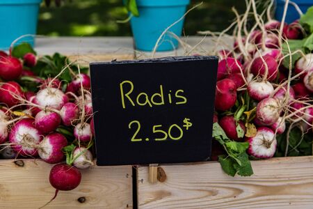 Organic produce at a farmer's market. Fresh radishes are seen for sale in wooden containers on a...