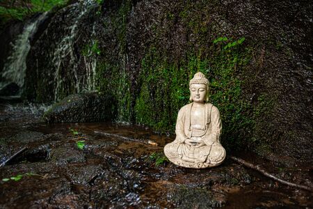 Diverse people enjoy spiritual gathering A sacred buddha statue figurine is seen closeup, against natural mossy rocks in a stream with copy space. Symbolic ornament during nature retreat.の写真素材