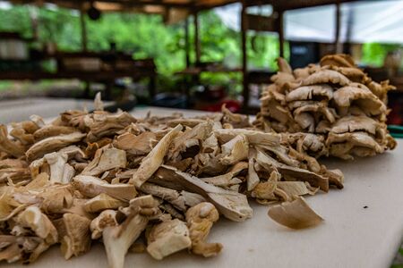 Diverse people enjoy spiritual gathering A close up view of freshly prepared and chopped mushrooms...