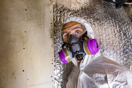 Indoor damp & air quality (IAQ) testing. A close up view of an indoor environmental quality inspector wearing protective clothing and face mask, black spore mold (aspergillus) is seen on plasterboard.の写真素材