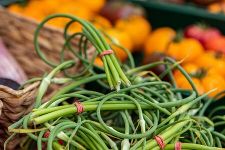 Organic produce at a farmer's market. Fresh scallions (green onions) are seen in bunches close up on a market stall during a fair for local farmers and growers, with copy space above.の写真素材