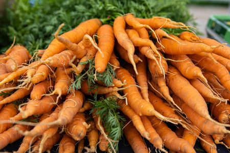 Organic produce at a farmer's market. A closeup view of long organic carrots sold on a greengrocer's...