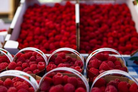 Close up picture shot outside on a sunny day in a french farmers market of Quebec, Canada.の写真素材