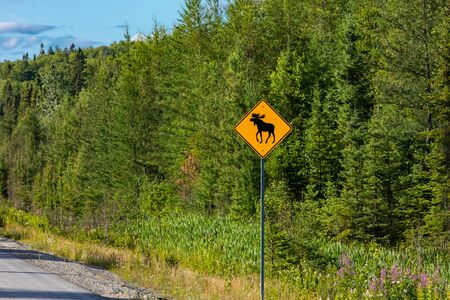 Warning for moose crossing sign, Warning yellow roads signs on roadside, selective focus view with forest trees backgroundの写真素材