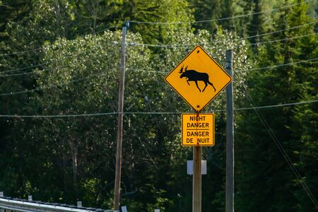 a warning for moose crossing the road, night danger bilingual signs, with power Lines and forest trees in the backgroundの写真素材
