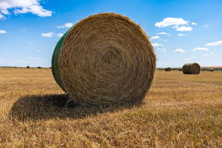 Big round bale of hay in the countryside, color contrast with beautiful blue sky in the background....