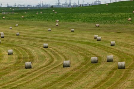 Bright green field or meadow with urban or industrial buildings in the background, full of recently...