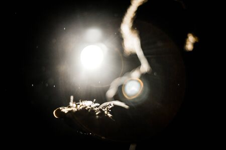 Back light close up picture of young male with his hand giving feathers. Strong lights with lens...