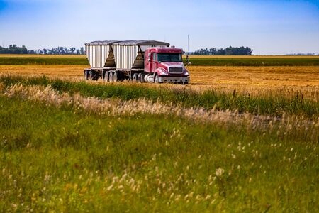 A wide angle view of a red lorry pulling two large trailers through farmland in Alberta, Canada. Agronomy and agribusiness concept with copy spaceの写真素材