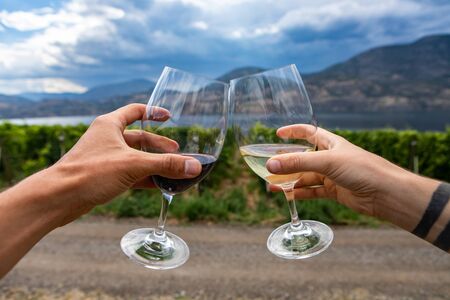 outdoor wine drinking and tasting tour, winery farm houses and vineyards visit, man and woman couple trip to Okanagan Lake, Okanagan Valley BC, Canadaの写真素材