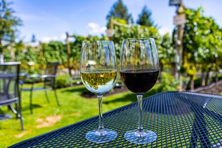two different wines, glasses of clear white and dark red wine on winery tasting outdoor yard seating table, grapevines vineyards in the backgroundの写真素材
