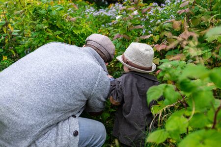 Rear view of father and son wearing cap and sun hat while picking fresh green plants in park during springtime on a bright dayの写真素材