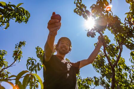 low angle view of happy smiling caucasian man as he looks to the camera and gives fresh ripe peach...