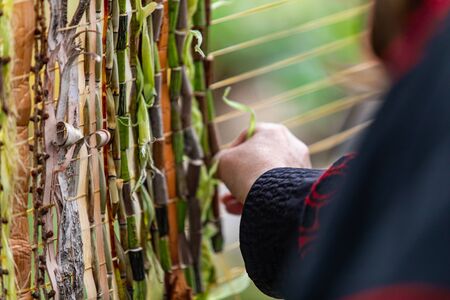 Closeup of human hand wearing full sleeves and decorating wampum yellow string with green plants and wood during world and spoken word festivalの写真素材