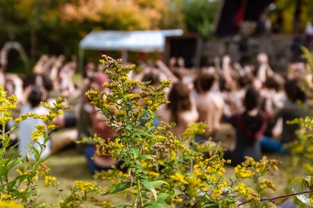 A selective focus view as a blurry group of people practice mindful meditation and yoga, in nature at a festival celebrating earth and native cultureの写真素材